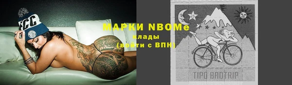 стаф Абинск
