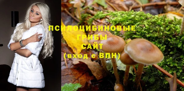стаф Абинск
