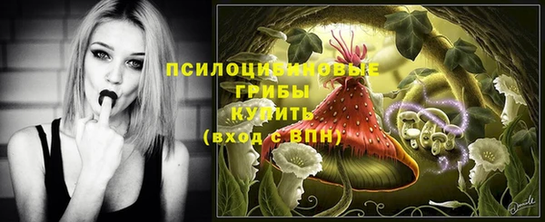 стаф Абинск