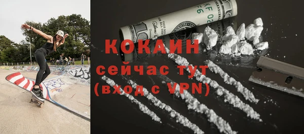стаф Абинск