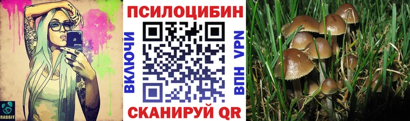 Галлюциногенные грибы мицелий  где купить наркоту  Судогда 
