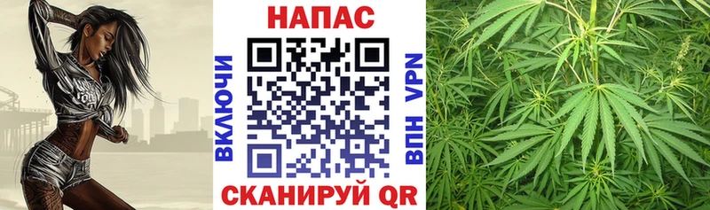Канабис THC 21%  Судогда 
